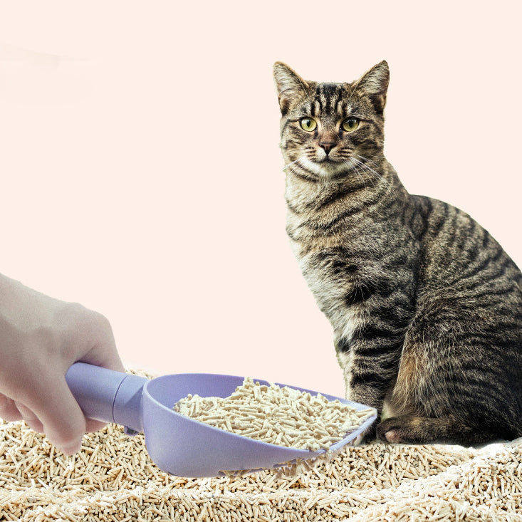 Base Pets Cleanning