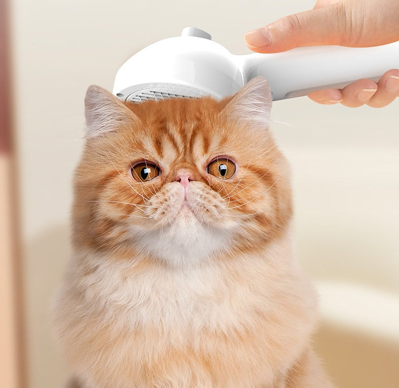 Pets Hair Remover Brush