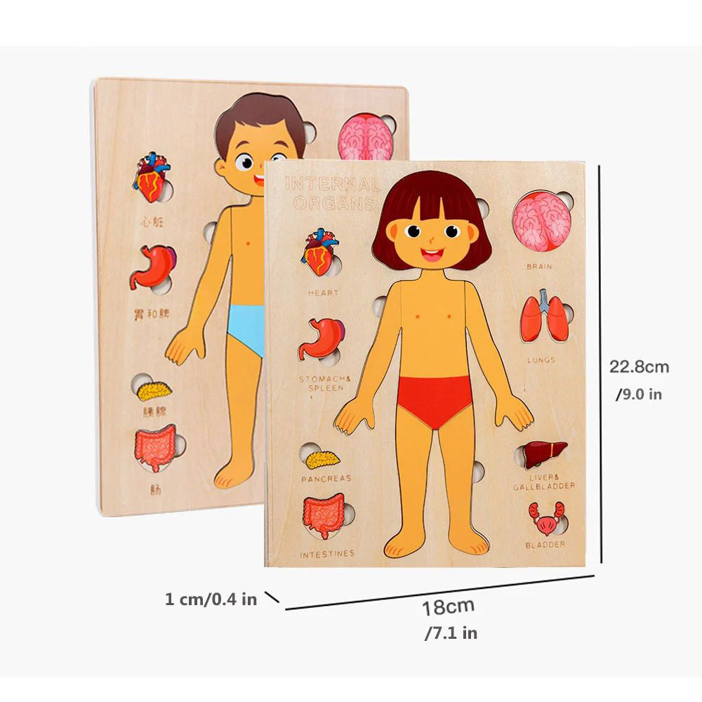 Kids Wooden Learning Activities Busy Board