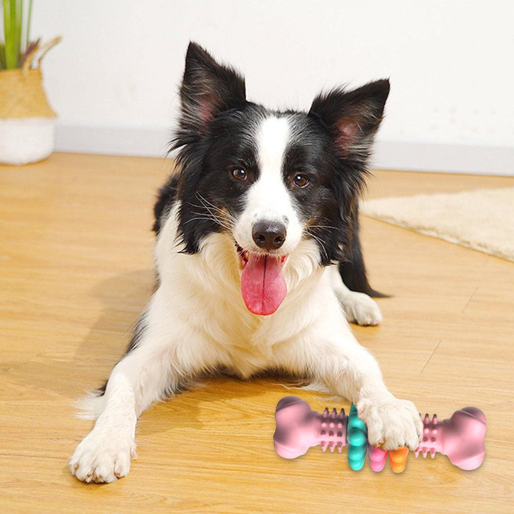 Dog Bone Toy