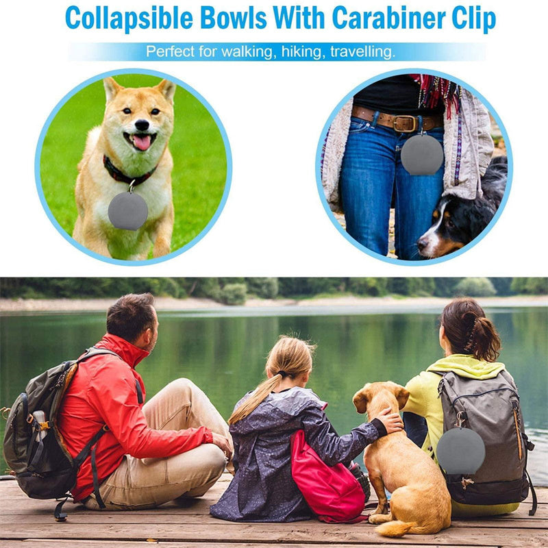 Dog Cat Bowls