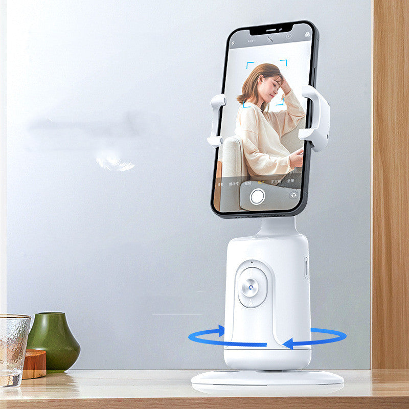 Face Tracking Stabilizer