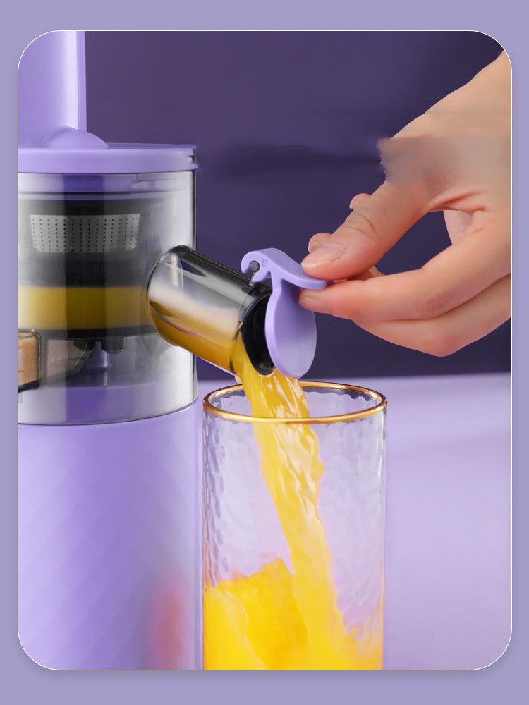 Portable Multifunctional Frying Juice Machine