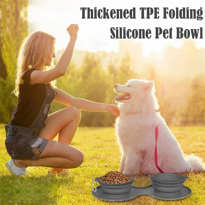 Dog Cat Bowls