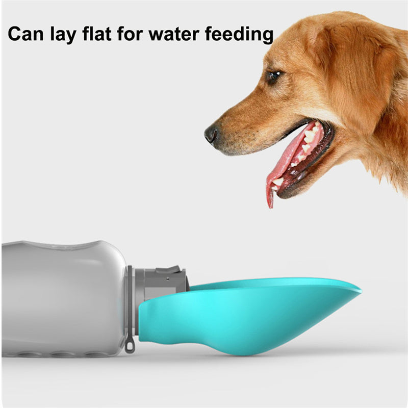Pet Foldable Drinking