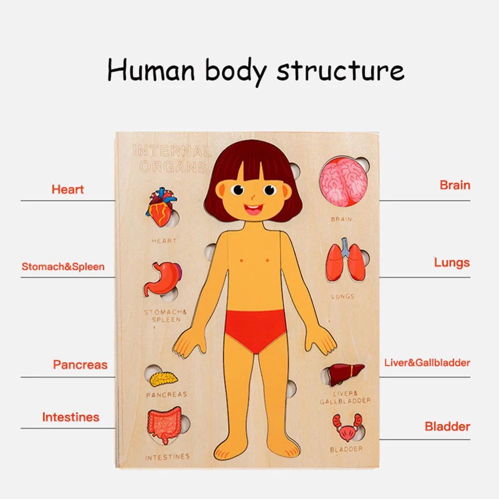 Kids Wooden Learning Activities Busy Board