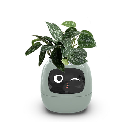Smart Planter Endless